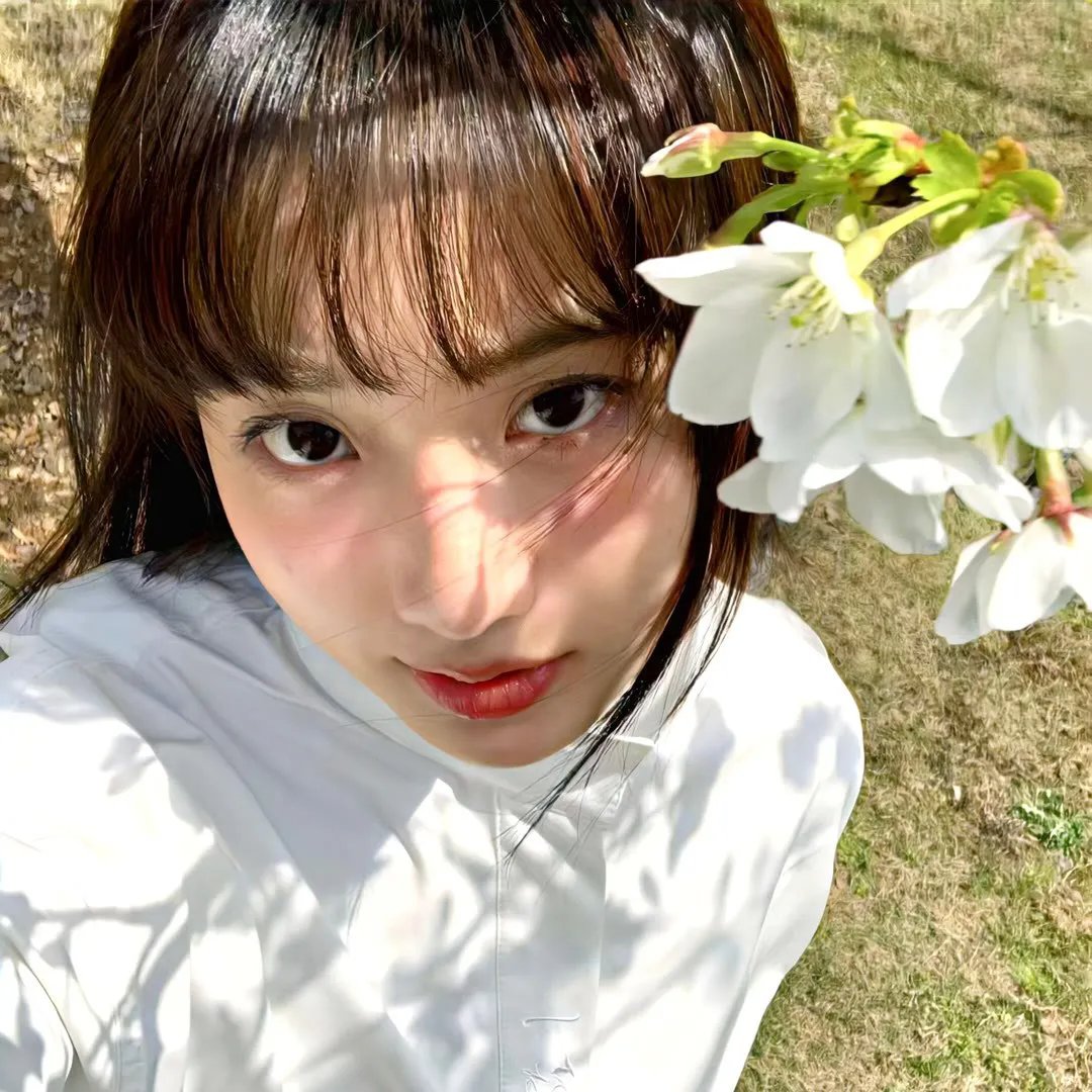 青之驱魔师岛根启明结社篇